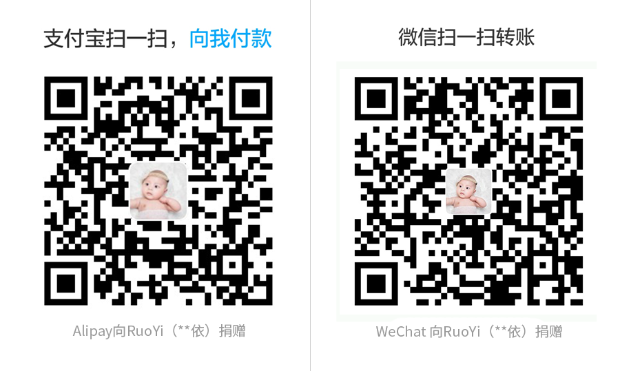 请使用手机支付宝或者微信扫码支付
